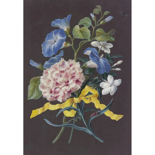 Barbara Regina Dietzsch - Blumengebinde Mit Rosa Nelke Dianthus Blauer Winde Convolvulus Und Weiem Jasmin Jasminum Mit Rotschwarz Getreiftem Kfer Libelle Und Fliege.webp