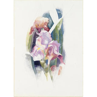 Charles Demuth - Purple Iris.webp