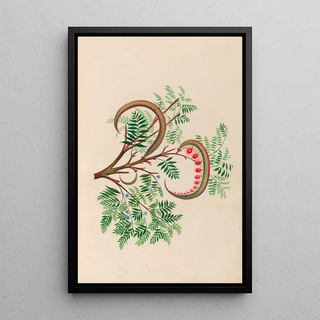 Charles Empson - Drawings of tropical flowers and fruits from South America Pl09.webp