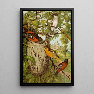 Christian Anton Goering - Die Nordamerikanische Vogelwelt pl33.webp