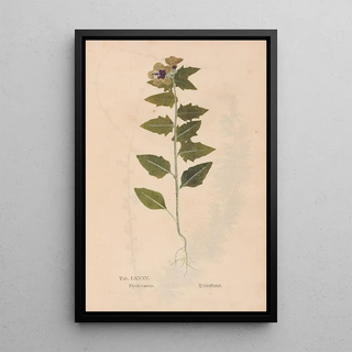 Christian Gottlieb Ludwig - Ectypa vegetabilium Pl085.webp