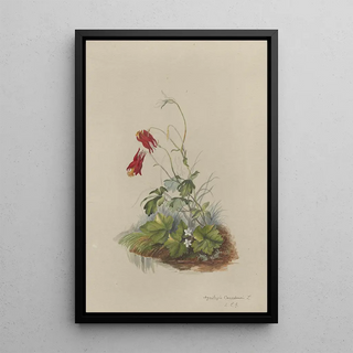 Deborah Griscom Passmore - Deborah Griscom Passmore watercolor album Pl06.webp