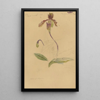 Deborah Griscom Passmore - Deborah Griscom Passmore watercolor album Pl70.webp