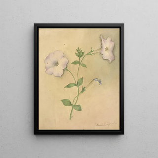 Deborah Griscom Passmore - Deborah Griscom Passmore watercolor album Pl79.webp