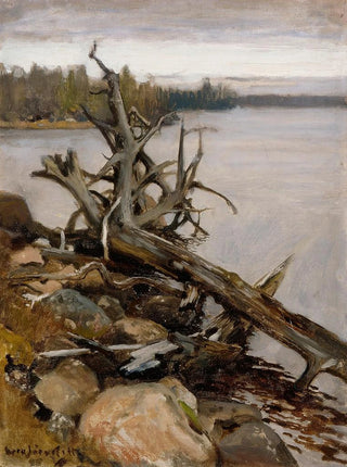 Eero Jrnefelt - Dead Pine in the Water.webp