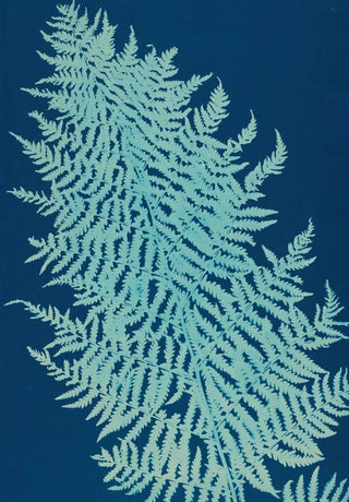 Ella J C Hurd - Ferns of Huntington Long Island Pl28.webp