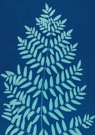 Ella J C Hurd - Ferns of Huntington Long Island Pl33.webp