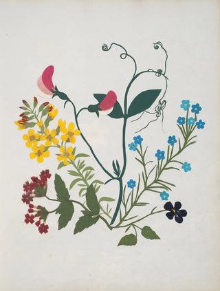 Ellen W - Album of cutpaper flowers Pl01.webp