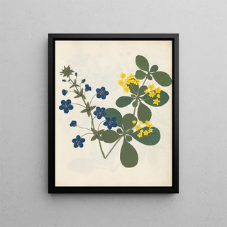 Ellen W - Album of cutpaper flowers Pl12.webp