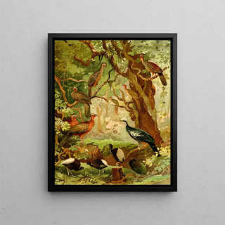 Emil August Gldi - Cujubi Jacs Aracus Jacamns.webp