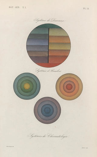 Franois Hrincq - Traite de botanique generale Pl052.webp