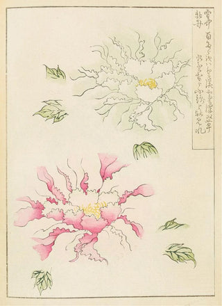 Furuya Krin - Bijutsukai Pl229.webp