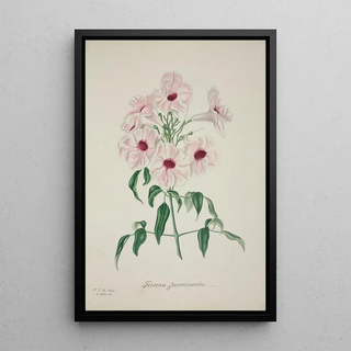 George De Alwis - Mon Jardin a Ceylan Pl013.webp