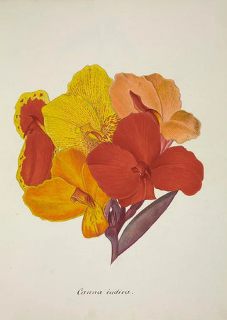 George De Alwis - Mon Jardin a Ceylan Pl054.webp