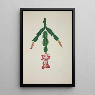 George De Alwis - Mon Jardin a Ceylan Pl059.webp