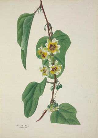 George De Alwis - Mon Jardin a Ceylan Pl100.webp