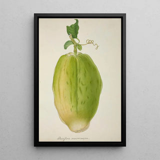 George De Alwis - Mon Jardin a Ceylan Pl146.webp