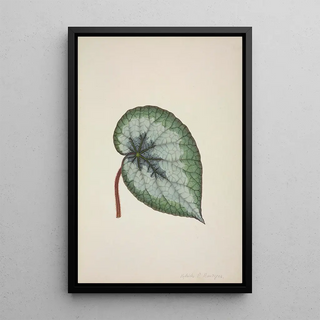 George De Alwis - Mon Jardin a Ceylan Pl166.webp