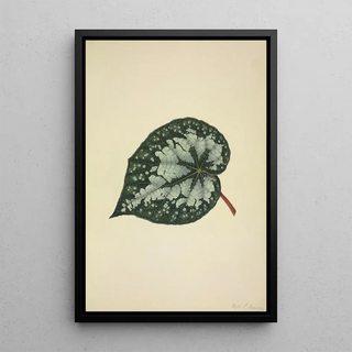 George De Alwis - Mon Jardin a Ceylan Pl170.webp