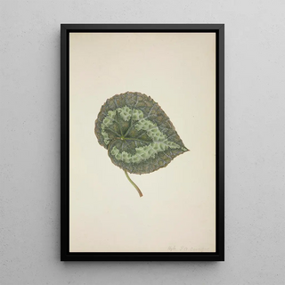 George De Alwis - Mon Jardin a Ceylan Pl197.webp