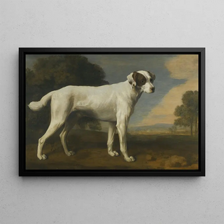 George Stubbs - Viscount Gormanstons White Dog.webp