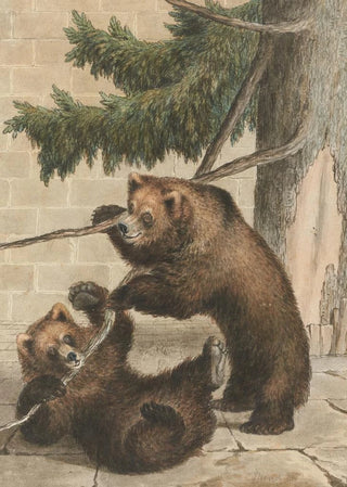 Gottfried Mind - Der Brengraben in Bern.webp