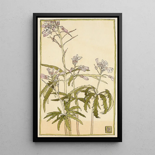 Hannah Borger Overbeck - Pink Flowers with Spiky Green Leaves.webp