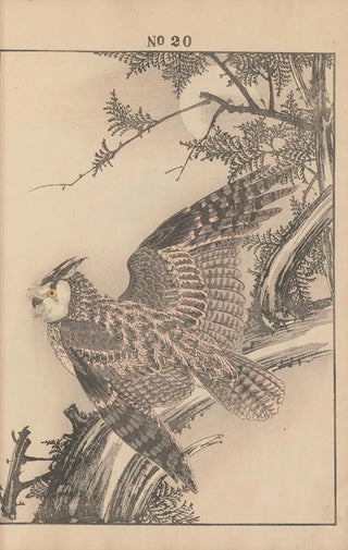 Imao Keinen - Keinen kach gafu Pl022.webp