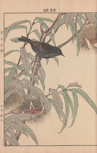 Imao Keinen - Keinen kach gafu Pl025.webp