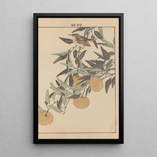 Imao Keinen - Keinen kach gafu Pl144.webp