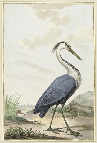 Jabes Heenck - Blauwe reiger.webp