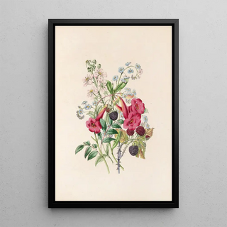 James Ackerman - TrumpetFlower ForgetMeNot And Raspberry.webp