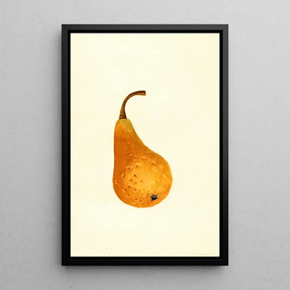 James Marion Shull - Pyrus communis Bosc.webp