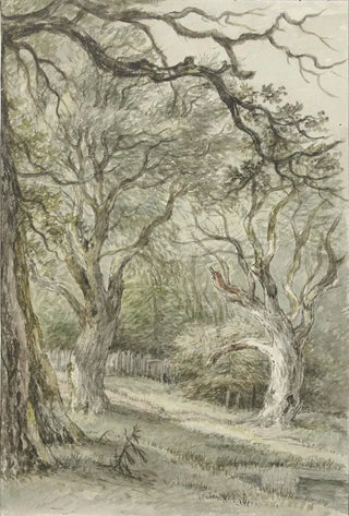 Jan Hulswit - Bosgezicht.webp