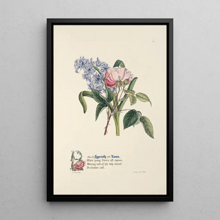 Jane Elizabeth Giraud - Hyacinth and rose.webp