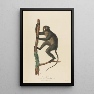 JeanBaptiste Audebert - Le Hocheur.webp