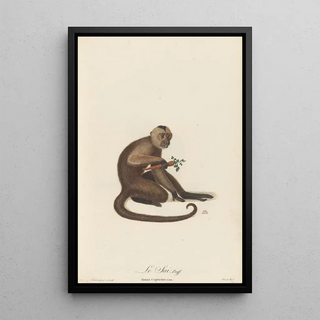 JeanBaptiste Audebert - Le Sai.webp