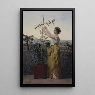 JeanLouis Hamon - Tutelle.webp