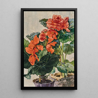 Josef Stoitzner - Orange Begonien.webp