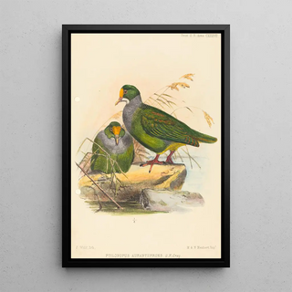 Joseph Wolf - Two Birds.webp