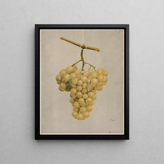 Louis Prang Co - Prize golden Hamburg grapes.webp