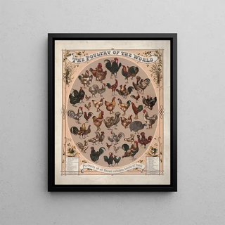 Louis Prang Co - The poultry of the worldPortraits of all known valuable breeds of fowls.webp