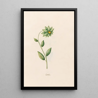 Magdelena Rosina Funck - Contrilla.webp