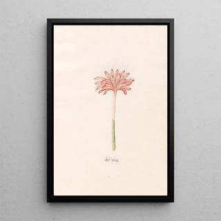 Magdelena Rosina Funck - Gef Zeitloss.webp