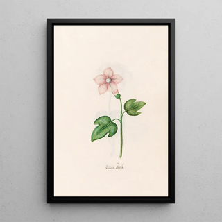 Magdelena Rosina Funck - Orient klock.webp