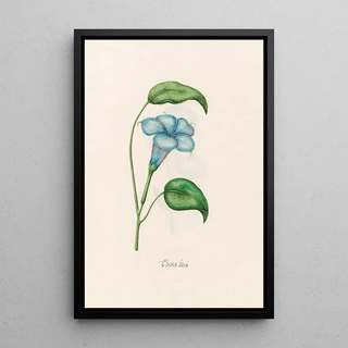 Magdelena Rosina Funck - Trckish klock.webp