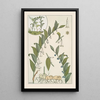 Maurice Pillard Verneuil - Sceau de Salomon.webp