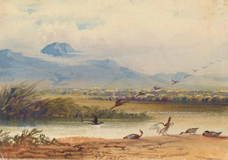 Newton Limbird Smith Fielding - Ducks Landing on a River.webp