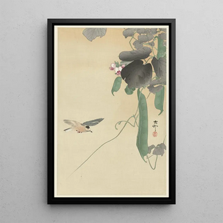Ohara Koson - Bird at flowering bean plant.webp