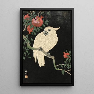 Ohara Koson - Cockatoo And Pomegranate.webp